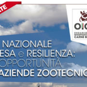 Piano Nazionale di Ripresa e Resilienza quali opportunità per le aziende zootecniche